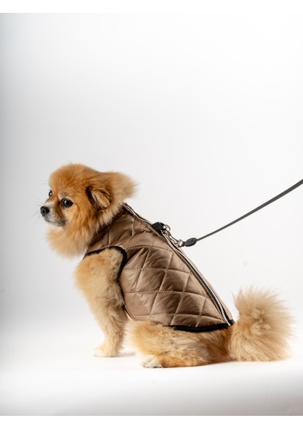 Kedi Köpek Kapitone Yelek fiyatları