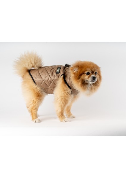 Kedi Köpek Kapitone Yelek modelleri