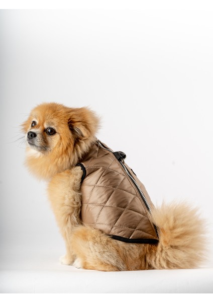 Kedi Köpek Kapitone Yelek indirimleri