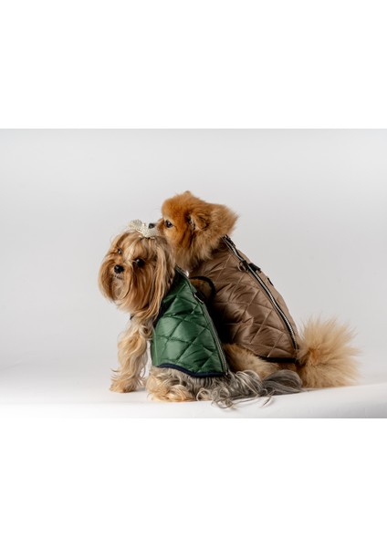 Kedi Köpek Kapitone Yelek