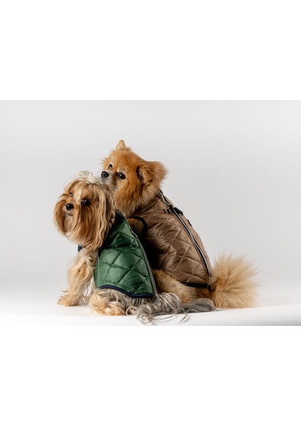 Kedi Köpek Kapitone Yelek