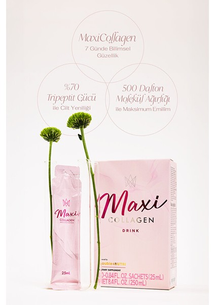 Maxi Collegen 7 Günde Etkili Tripeptit Kolajen, Hyaluronik Asit, Seramid (10 Şase)