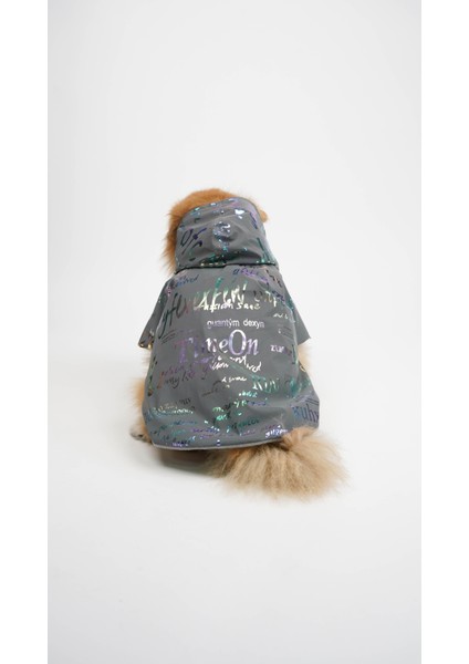 Kedi Köpek Mont Night Glow fiyatları