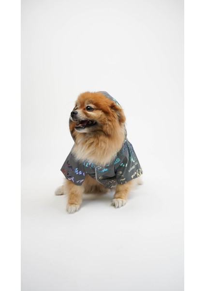 Kedi Köpek Mont Night Glow modelleri