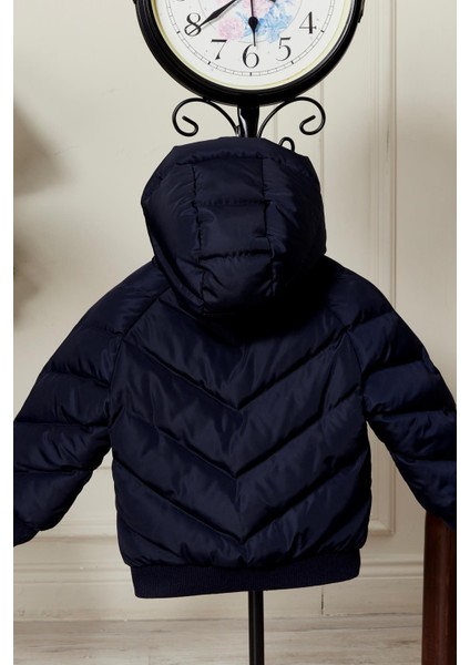 Erkek Bebek Kapüşonlu Kışlık Mont 51332 modelleri