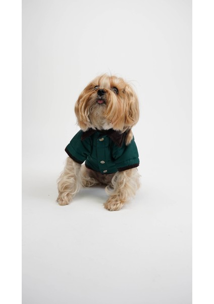 Kedi Köpek Ceket Velvet