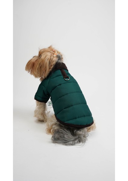 Kedi Köpek Ceket Velvet modelleri