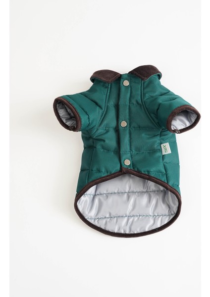 Kedi Köpek Ceket Velvet fırsatları