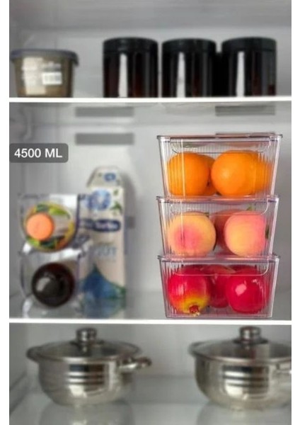 Kapaklı Şeffaf Buzdolabı Organizeri ve Saklama Kabı 4500ML fiyatları