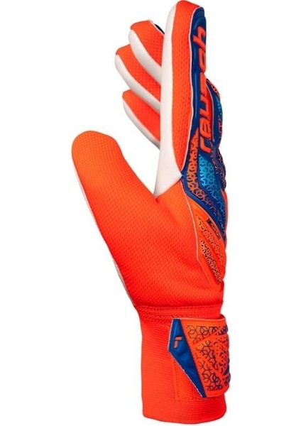 Attrakt Starter Solid Kaleci Eldiveni (Kemiksiz) 5570514-2290 8.5 indirimleri