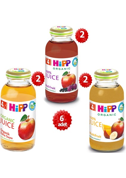 Organik x 6 Adet Karışık Meyve Suyu 200ML