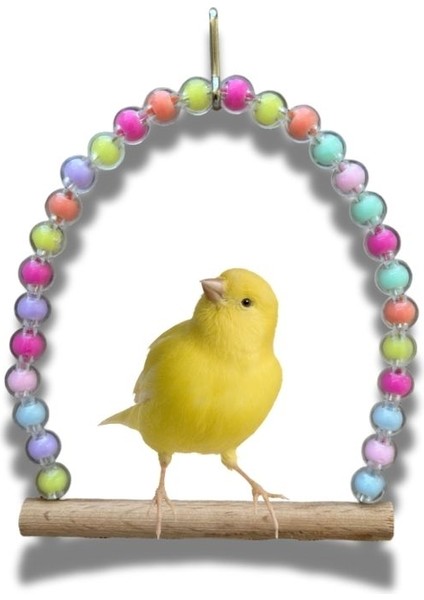 Muhabbet Kuşu Için Salıncak Kuş Oyuncakları Muhabbet Kuşları Için Tünekli Çıngıraklı Kuş Tüneği