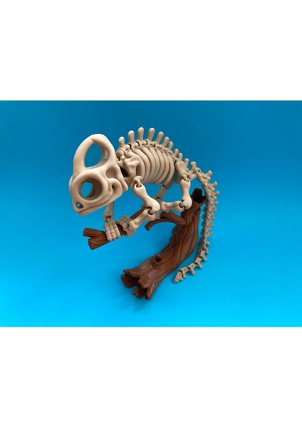 Hareketli Chameleon Iskelet Dekor Bukalemun