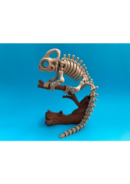 Hareketli Chameleon Iskelet Dekor Bukalemun fiyatları