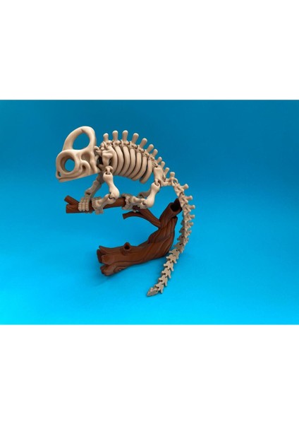 Hareketli Chameleon Iskelet Dekor Bukalemun modelleri