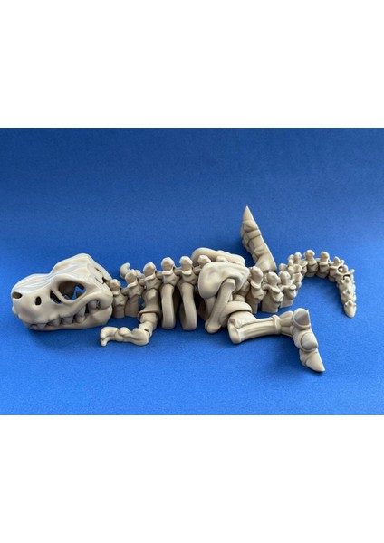 Hareketli T-Rex Dinozor Iskeleti Büyük Boy modelleri