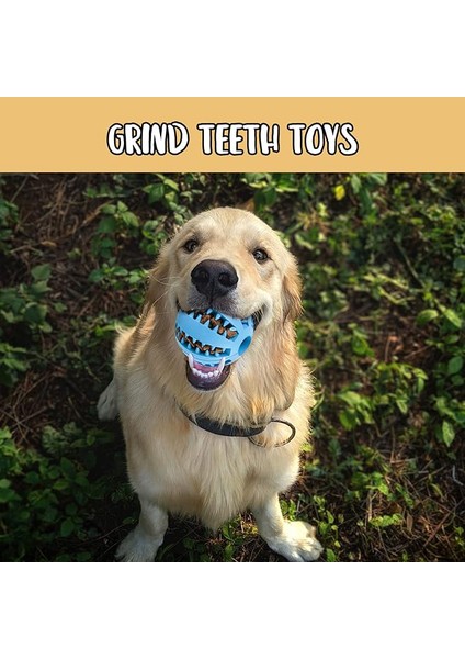 Mama Hazneli Köpek Eğitim ve Oyun Topu fiyatları