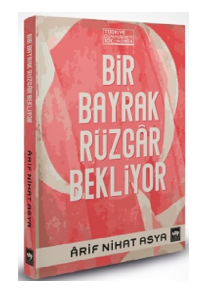 Bir Bayrak Rüzgar Bekliyor (Ciltli)