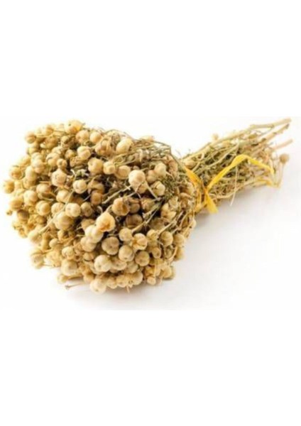 Üzerlik Otu Nazarlık Otu Nazara Karşı Şifalı Oldu Bilinen Bitki 1 Demet