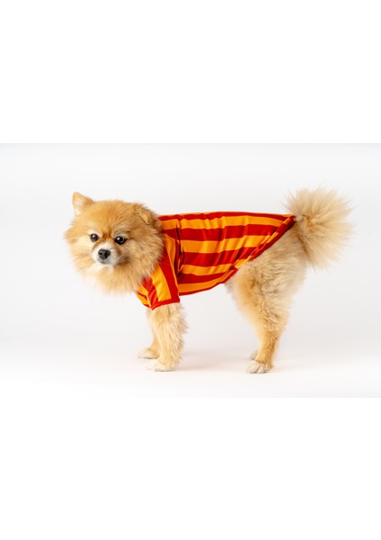 Köpek Kedi Taraftar Forma fiyatları