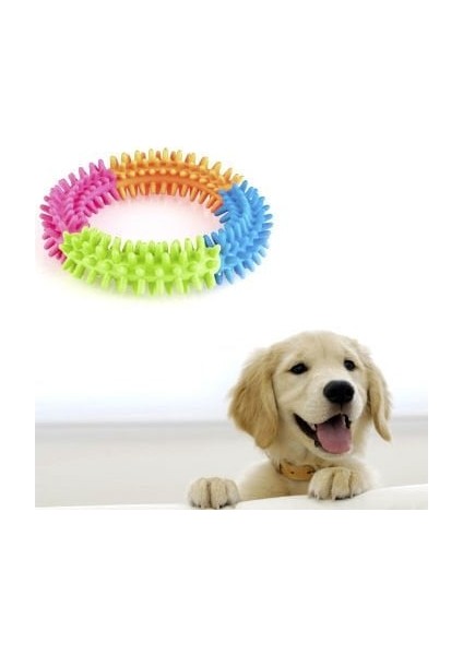 Köpek Oyuncağı Yuvarlak Diş Temizleyici Oyuncak