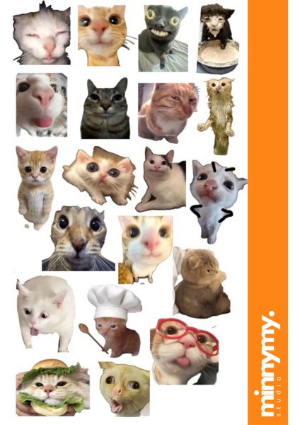 Cat Collection Sticker, Çıkartma, Ajanda, Günlük, Planlayıcı, Bullet Journal ,scrapbook