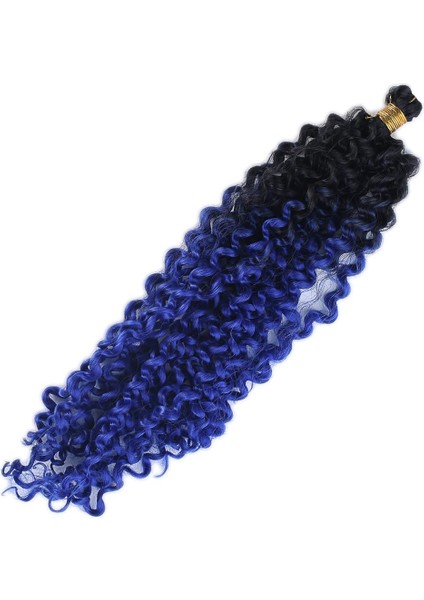 Afro Dalgası Saç / Siyah Koyu Mavi Ombreli