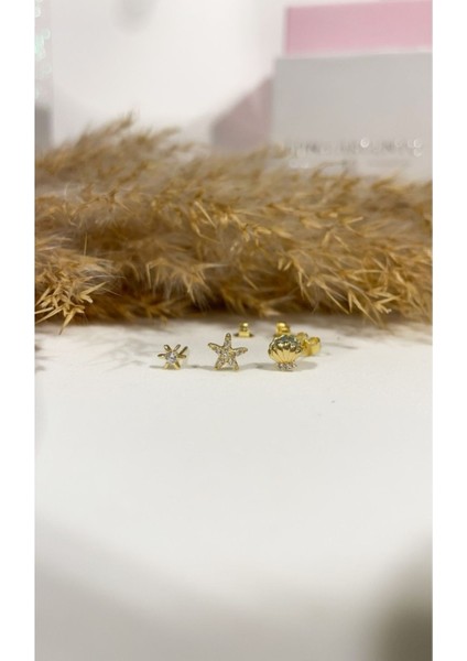 Ithal Yüksek Kalite 3'lü Kumsal Küpe fiyatları