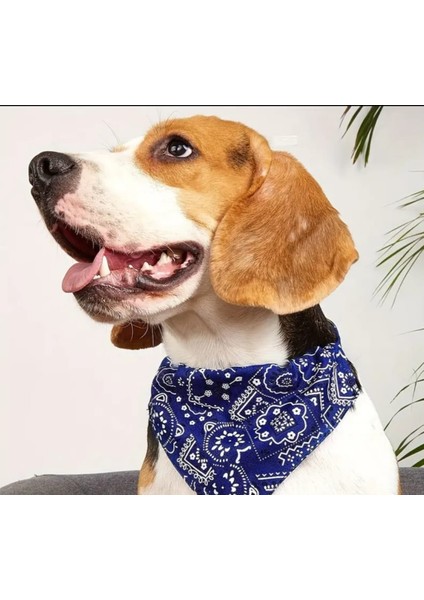 Üçgen Şeklinde, Ayarlanabilir Kedi ve Köpek Boyun Bandanası Su Yeşili Renk indirimleri