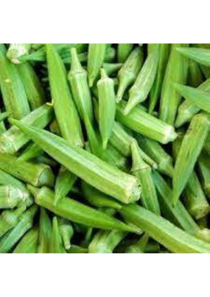 20 Adet Tohum Sultani Bamya Tohumu Saksı Toprak Sürpriz Hediye Tohum fiyatları