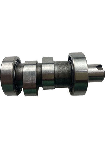 TRX12 Egzantrik Mili