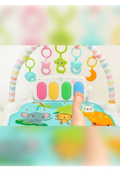 Eğitici Bebek Oyun Halısı Piyanosu fiyatları