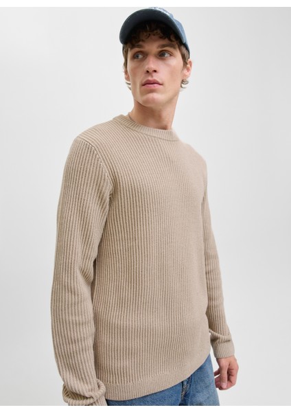 Bisiklet Yaka Normal Bej Erkek Kazak 12278816_JJEDOVER Knıt Crew Neck Sn modelleri