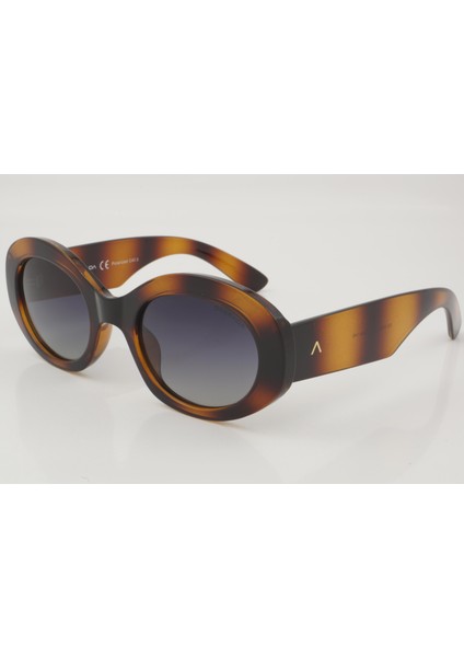 Ds 2455 C2 52 - 01 Güneş Gözlüğü fiyatları