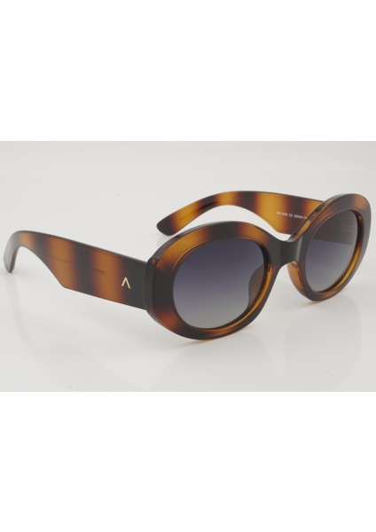 Ds 2455 C2 52 - 01 Güneş Gözlüğü modelleri