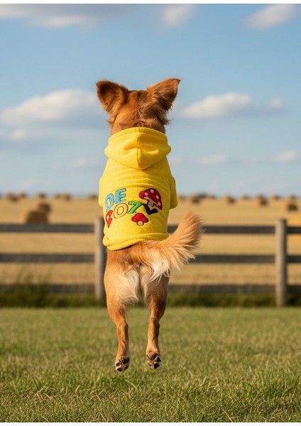 Orta ve Büyük Irk Polar Ceket Dorcas fırsatları