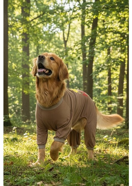 Orta ve Büyük Irk Penye Tulum Zabro fırsatları