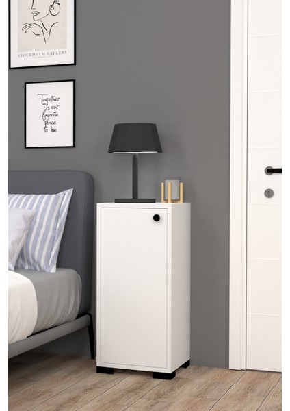 Çok Amaçlı Mini Dolap 34 Montajsız Çok Renkli