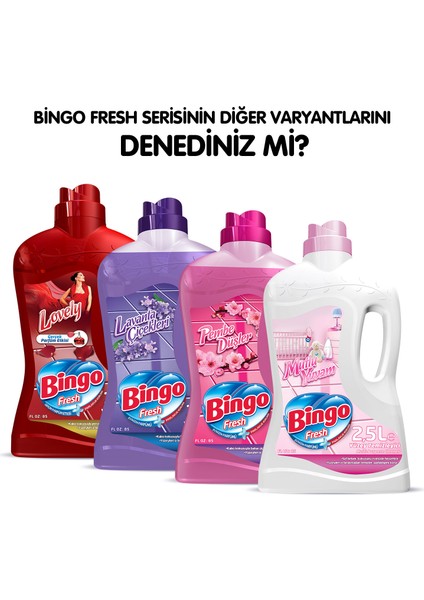 Fresh Yüzey Temizleyici 2,5 lt Masal Ekonomi Paketi 4'lü