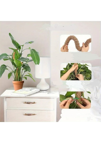 Bitki Tırmanma Braketi – Sarmaşık ve Çiçekler Için Şekil Alan Dayanıklı Destek Aparatı modelleri