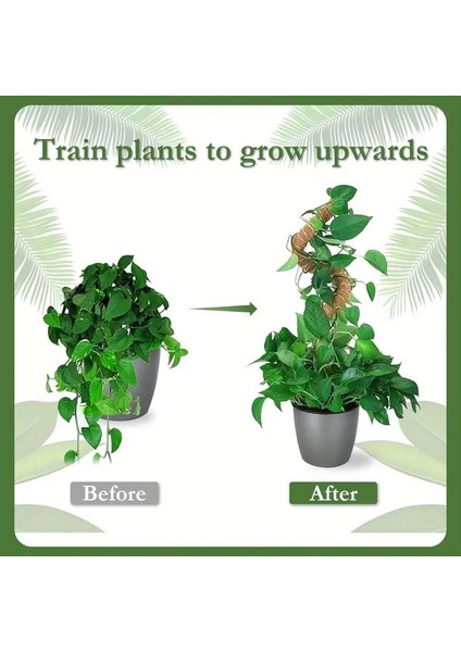 Bitki Tırmanma Braketi – Sarmaşık ve Çiçekler Için Şekil Alan Dayanıklı Destek Aparatı indirimleri