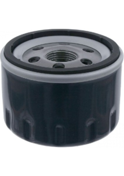 YAG FILTRESI CLIO-III MAIS 8671095894