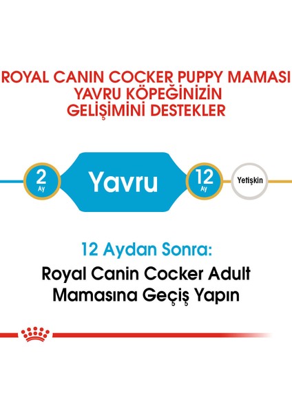Cocker Yavru Köpek Maması 3kg