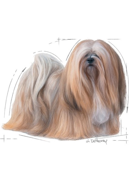 Mini Exigent Seçici Köpekler Için Kuru Köpek Maması 3kg