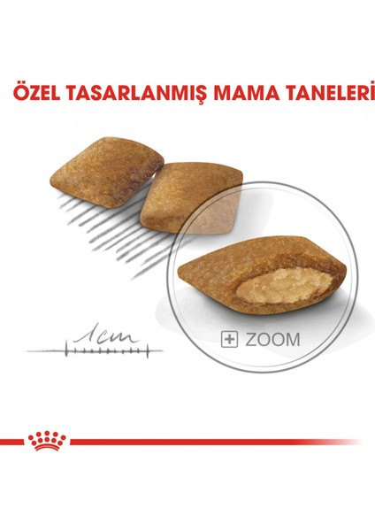 Mini Exigent Seçici Köpekler Için Kuru Köpek Maması 3kg