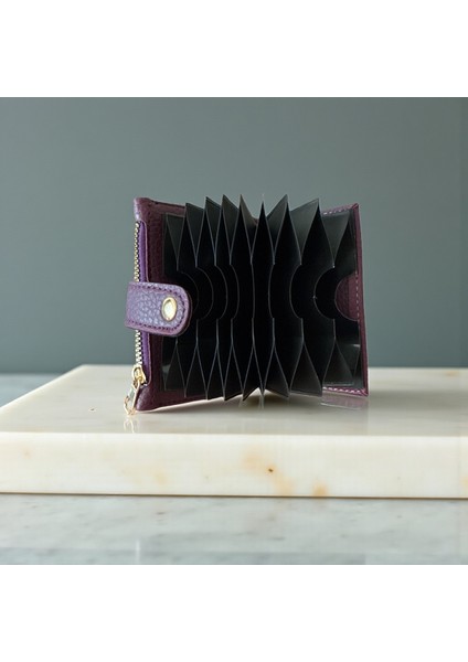 12 Adet Kart ve Bozuk Para Bölmeli Kartlık modelleri