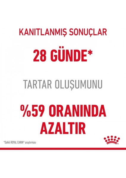 Dental Care Diş Sağlığı Için Kuru Kedi Maması 1.5kg