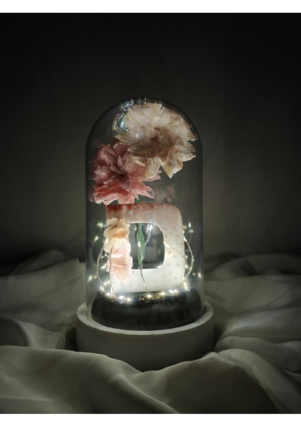 Dekoratif Ledli D Harfi, D Harfli Özel Dalia Çiçekli Teraryum Fanus, Hediyelik Fanus fiyatları