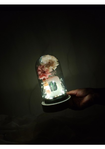 Dekoratif Ledli D Harfi, D Harfli Özel Dalia Çiçekli Teraryum Fanus, Hediyelik Fanus indirimleri