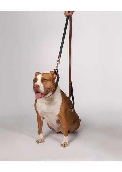 Deri Gezdirme Kayışı 140 cm fiyatları